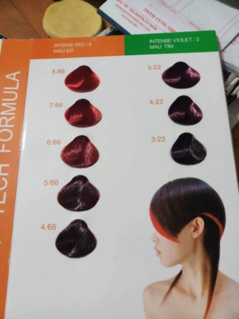 Thuốc nhuộm tóc EverFlor kèm oxi trợ nhuộm và găng tay | BigBuy360 - bigbuy360.vn