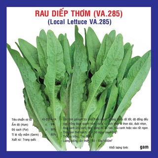Hạt giống Rau Diếp Thơm (VA.285) – 5gram