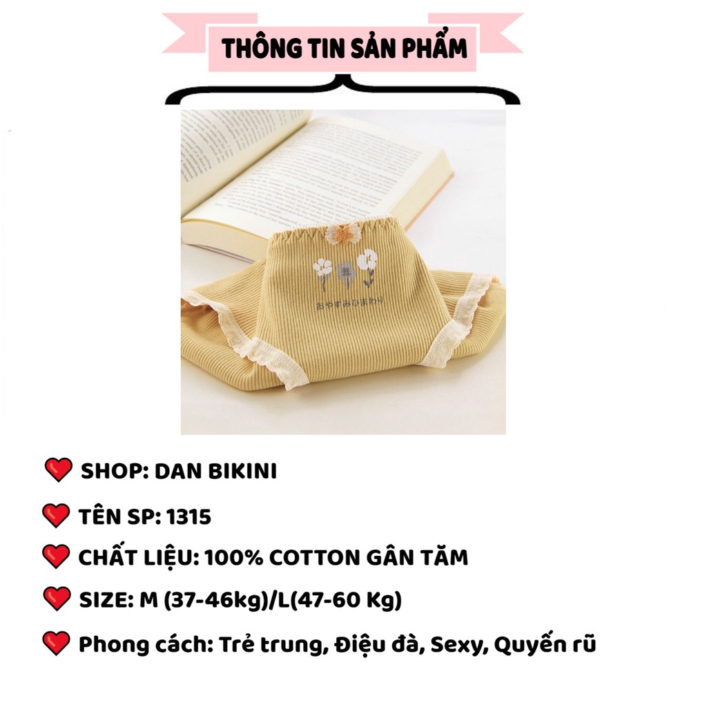 QUẦN LÓT NỮ ❤️FREESHIP❤️Quần lót cotton gân tăm cao cấp set tông vàng dễ thương mẫu 1315
