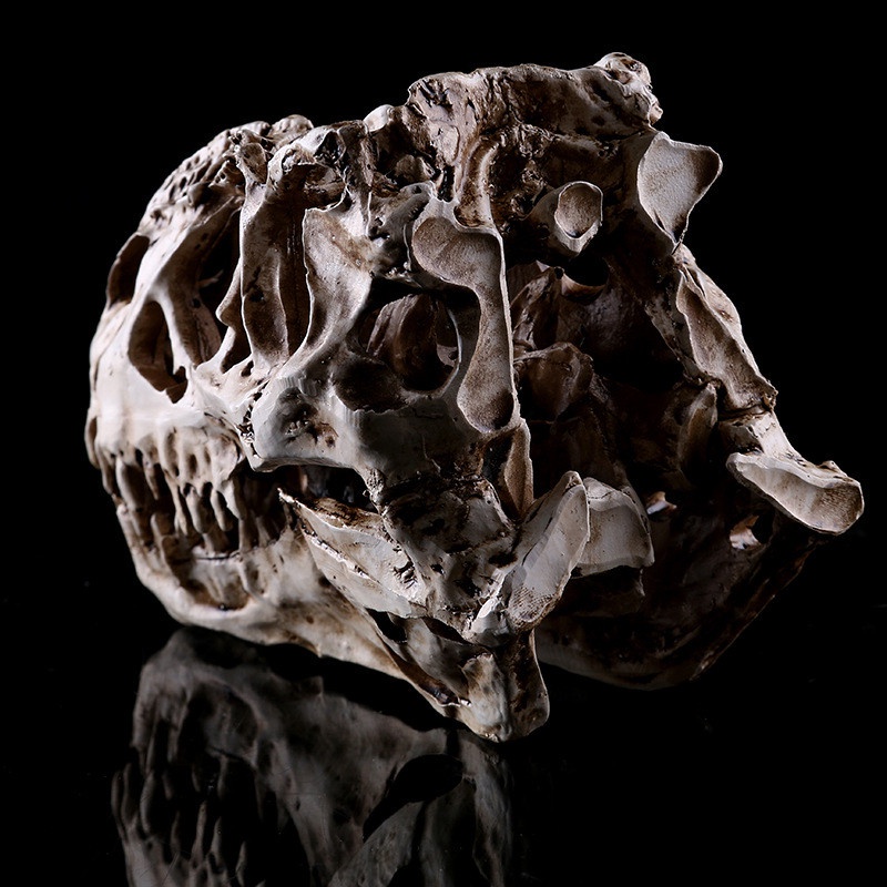 [adorebubble 0528] Resin Crafts Dinosaur Tooth Skull Fossil Teaching Skeleton Model Halloween Decor