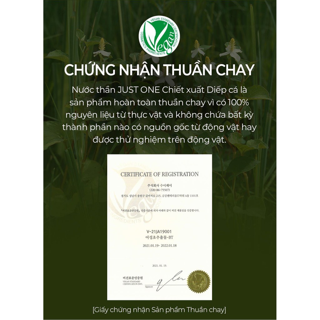 Nước hoa hồng - Nước Thần B.O.M Just One Tinh Chất Diếp Cá 92,5% Houttuynia Cordata Extract 150ml | BigBuy360 - bigbuy360.vn