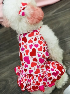 Váy tim kèm nơ 🎀