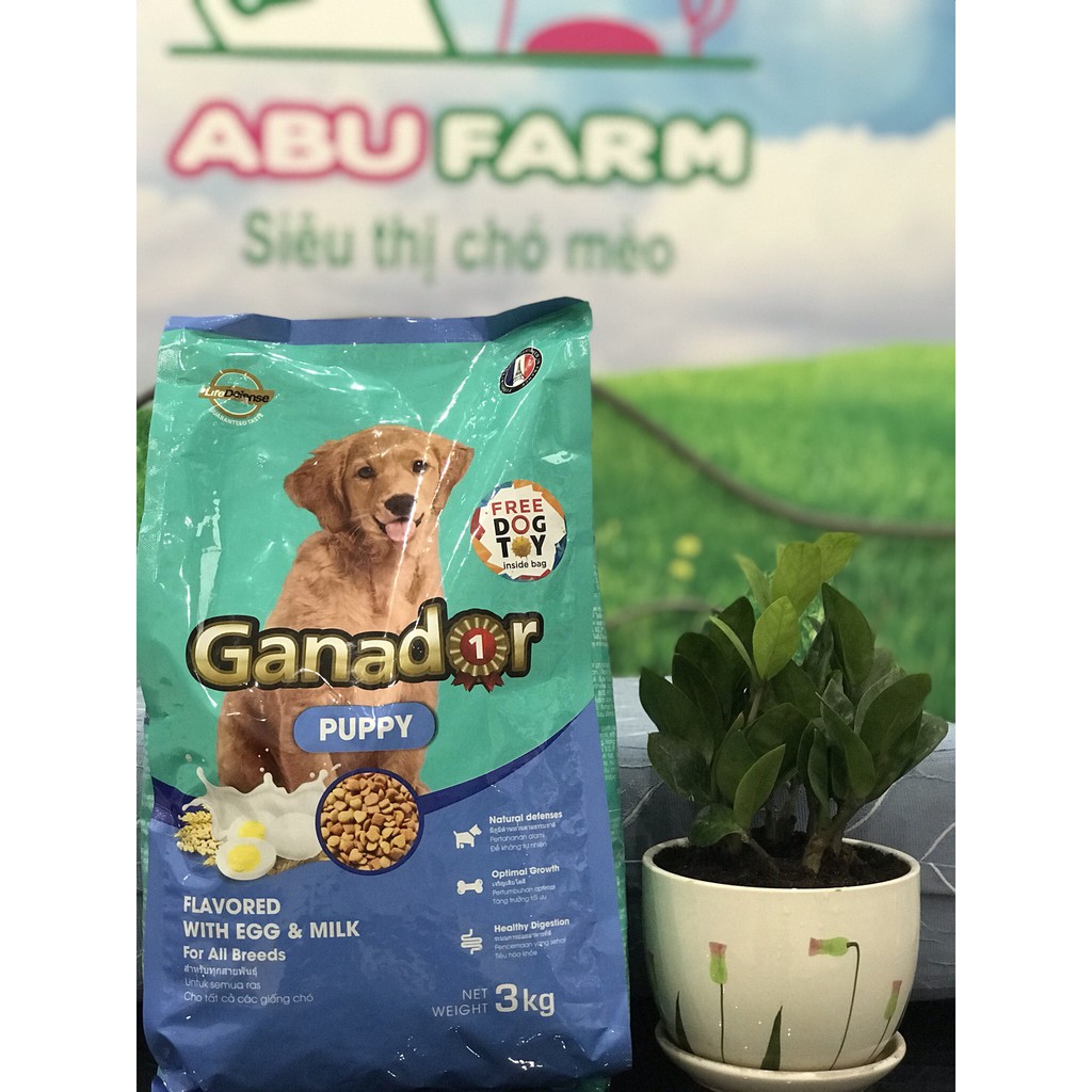 Thức ăn cho chó con Ganador vị Trứng và Sữa - Egg and Milk 3kg
