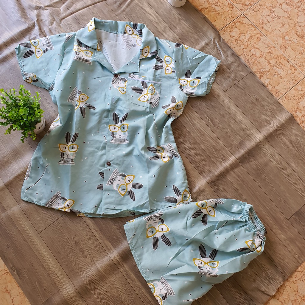 Đồ bộ ngủ đồ bộ mặc nhà quần cộc áo cộc đồ bộ pajama kate thái cực hot size 40-62kg + ảnh thật