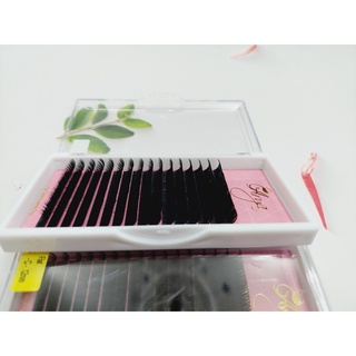 Mi Flat chất mi siêu đẹp và mềm (Độ Dày 0.15)