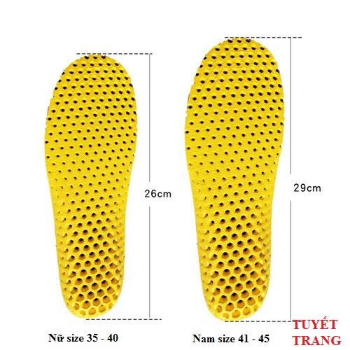 Lót giày thể thao cấu trúc tổ ong êm chân thoáng khí - PK13