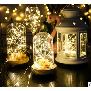 Dây đèn Led fairylight ,dây đèn đom đóm 3 mét dùng pin AA