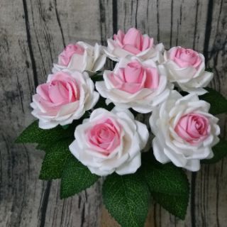 LÁ HỒNG GÂN