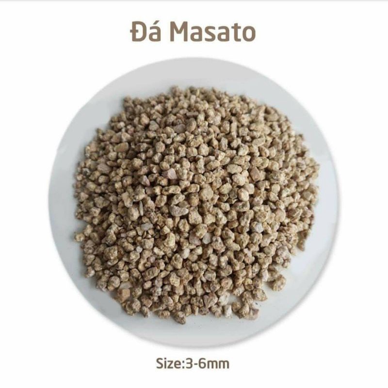 ĐÁ MASATO GIỮ MÀU SEN ĐÁ