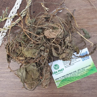 Cây mã đề khô 1kg - Tấn Phát