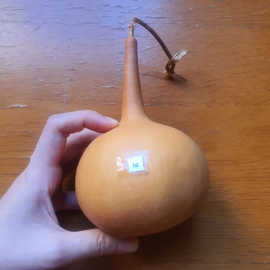 Trái bầu hồ lô phong thuỷ 19 - Em và nắng