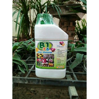 Phân Bón B1 Thái Lan, chai 500ml