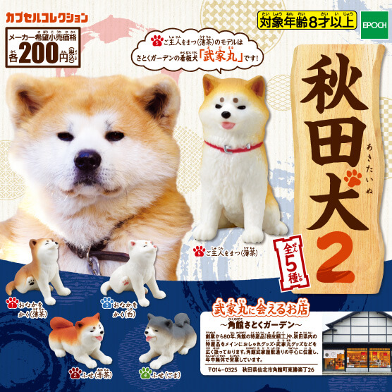 EPOCH GASHAPON Mô Hình Nhân Vật Akita Inu Xinh Xắn Dễ Thương