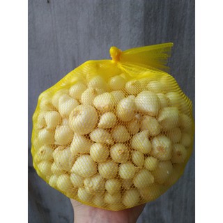 1kg HÀNH TĂM HAY CÒN GỌI LÀ CỦ NÉN