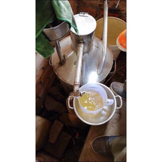100ml Tinh dầu tràm Huế (lọ tròn)