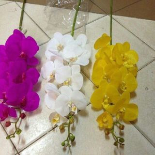 Hoa lan hồ điệp cao su