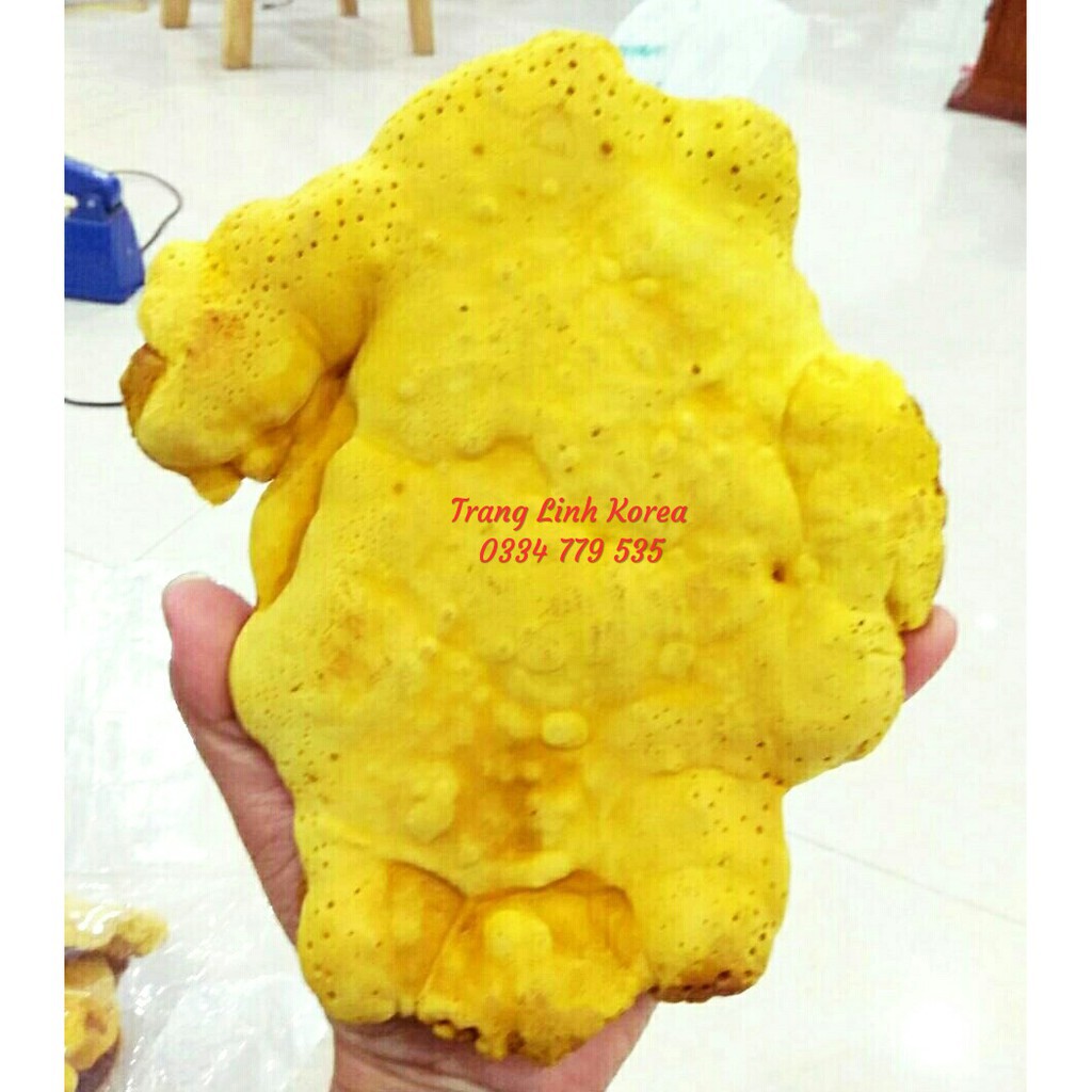 Nấm Thượng Hoàng Cao Cấp Lá To Hàn Quốc