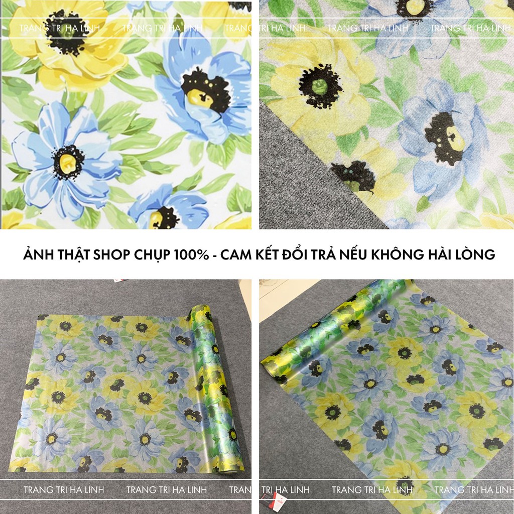 Decal dán kính mờ cửa sổ phòng ngủ 3d decal nhiều mẫu đẹp giá rẻ