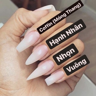 Nailbox-Móng úp(Vân trắng)