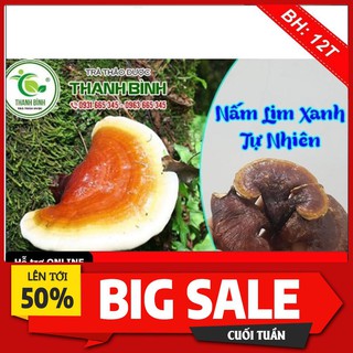 Nấm Lim Xanh Rừng 100% Tự Nhiên 500gr - Thảo Dược Thanh Bình