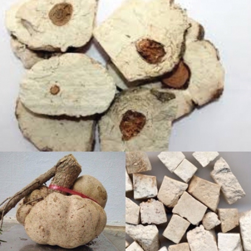 PHỤC THẦN Loại 1
