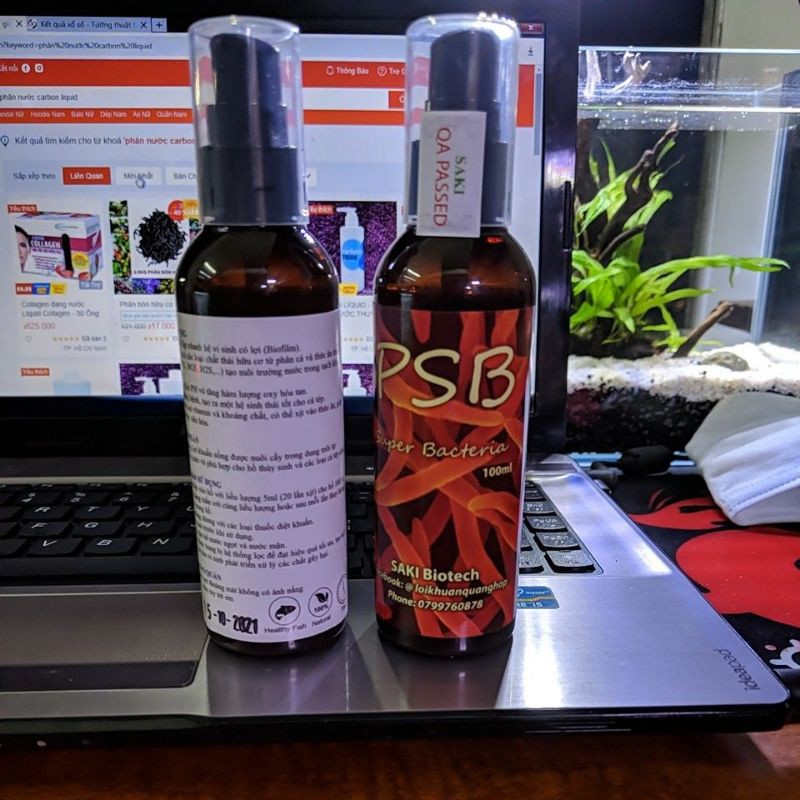 vi khuẩn quang hợp psb.