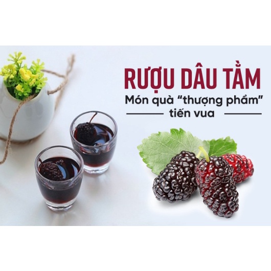 NƯỚC CỐT DÂU TẰM NGỌC THẢO CUNG CẤP VITAMIN ( 1 LÍT )