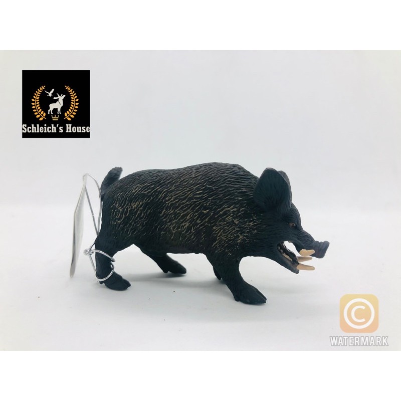 Mô hình động vật CollectA chính hãng Lợn ( heo ) rừng 88363 - Schleich House