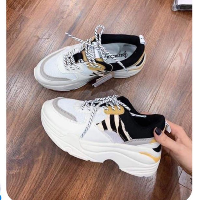 Giày stradivarius của Nguyệt Moon
