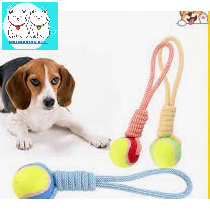 Đồ chơi chó mèo bóng tennis kèm dây thừng tập giằng
