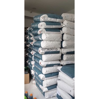 Bột Kevit 25kg [Chính Hãng]