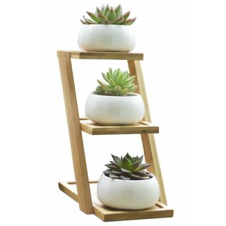 Kệ cây cảnh để bàn