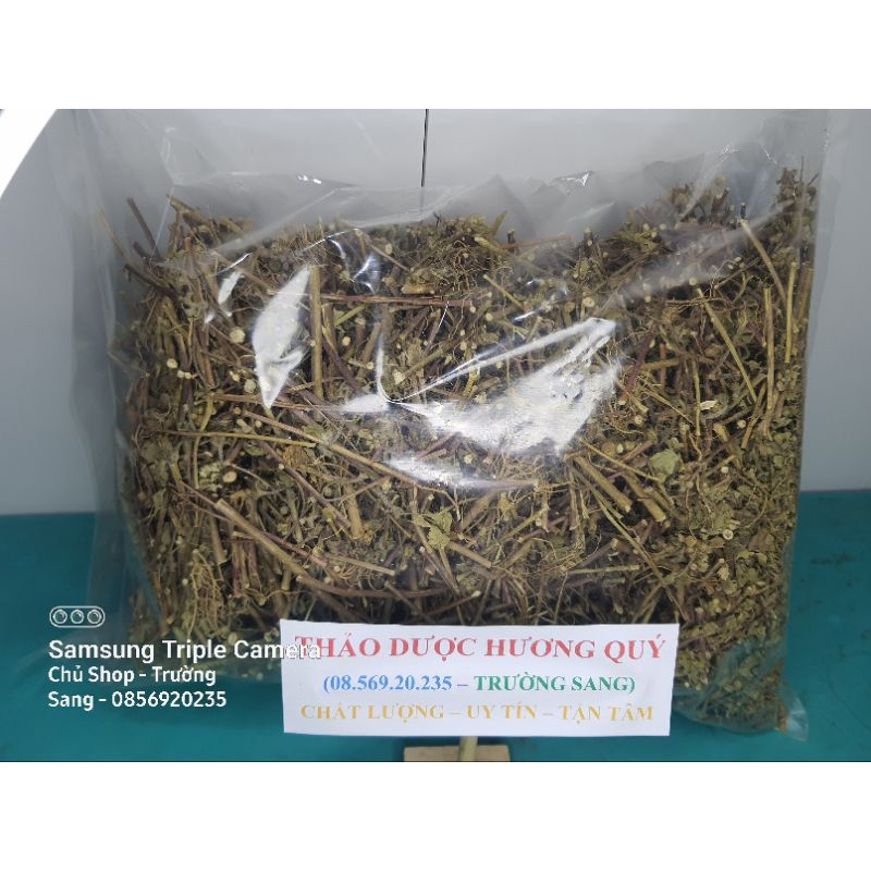 1Kg Cây Cỏ Hôi (Cây Cưt Lợn) Cam Kết Khô, Sạch, Chất Lượng