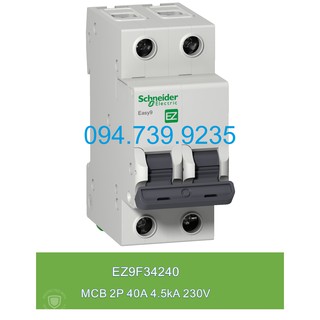 Automat Schneider 2P 40A 4.5kA - Schneider EZ9 2P 40A - MCB 2P 40A Schneider - Cầu Dao EZ9F34240