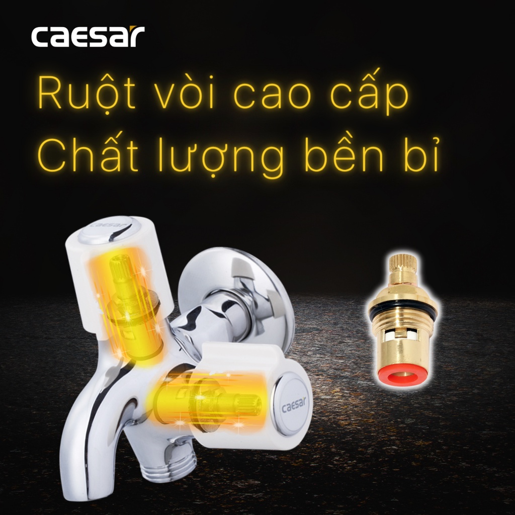 Vòi Sen Lạnh - W038C