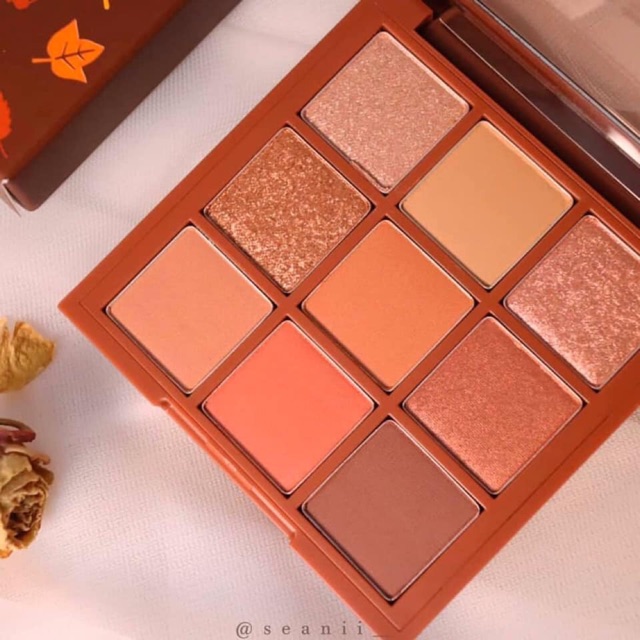 Bảng màu mắt House Maple Road Play Color Eyes
