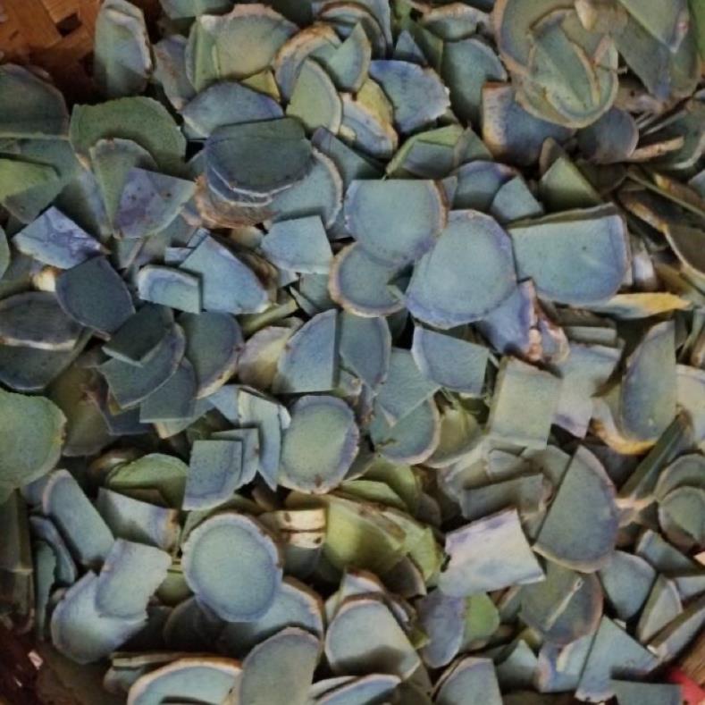 Giá sỉ 1kg Nghệ đen tươi và khô củ già