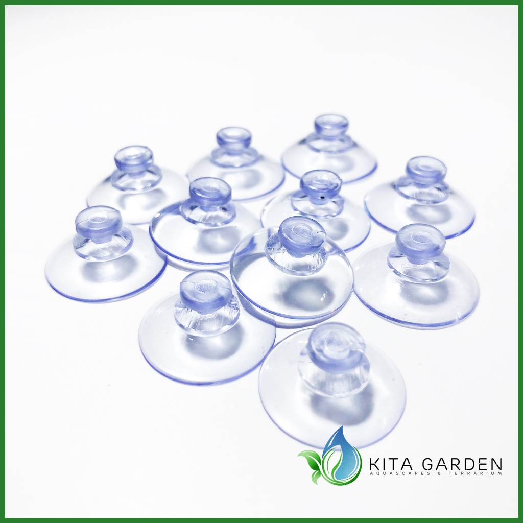 Hít nhựa hồ kính | Hít Thành Hồ | Hít Kính | Hít gắn vĩ rêu