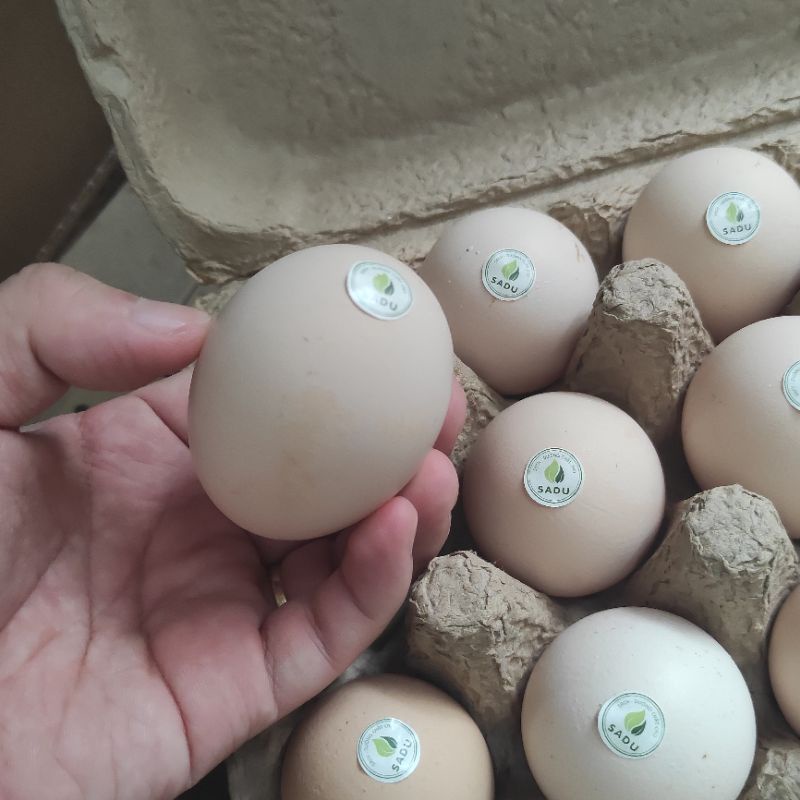 Trứng gà tươi SADU nuôi Organic, trứng gà không béo, thơm ngon, 12 quả 1 hộp