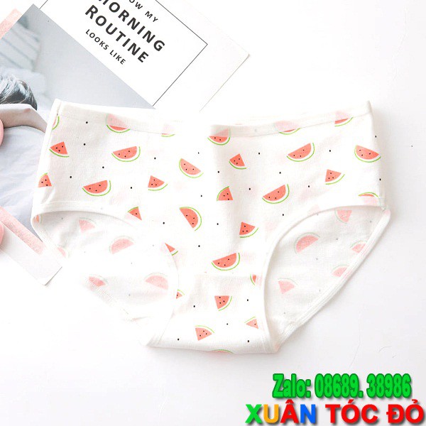 SỈ ZALO RẺ HƠN NHIỀU_ Quần Lót Mèo Tắm Trong Bồn Dưa Hấu Mới 5055 | BigBuy360 - bigbuy360.vn