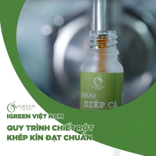 BỘ ĐÔI SỮA RỬA MẶT VÀ SERUM DIẾP CÁ