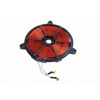 Bếp từ Taka TKI1H24