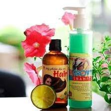 Bộ sản phẩm tinh dầu bưởi chống rụng tóc LOTION TINH DẦU BƯỞI và DẦU GỘI BƯỞI