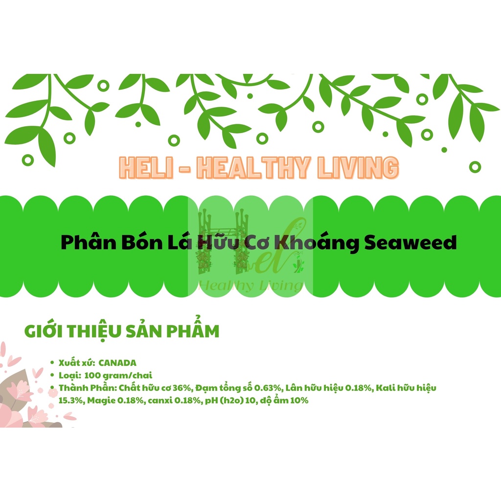 Phân Bón Lá Hữu Cơ Khoáng Seaweed 95% Rong Biển Canada Giúp Ra Hoa Đậu Trái