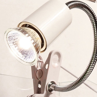 Đèn Sưởi Ấm Thú Cưng Bò Sát Uva Uvb