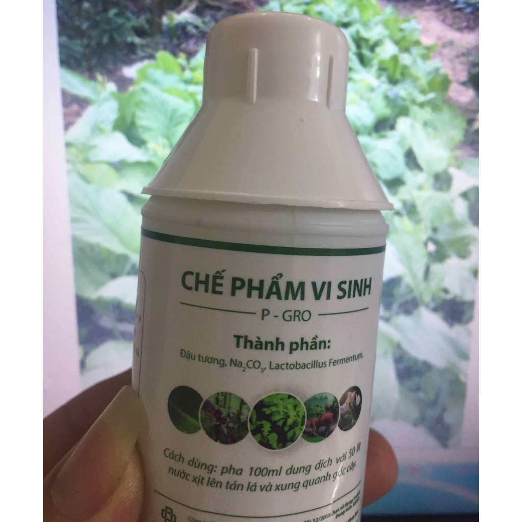 [FREESHIP TỪ 50K] CHẾ PHẨM VI SINH P-GRO (ĐẬU TƯƠNG,Na2Co3,Lactobacillus Fermentum)