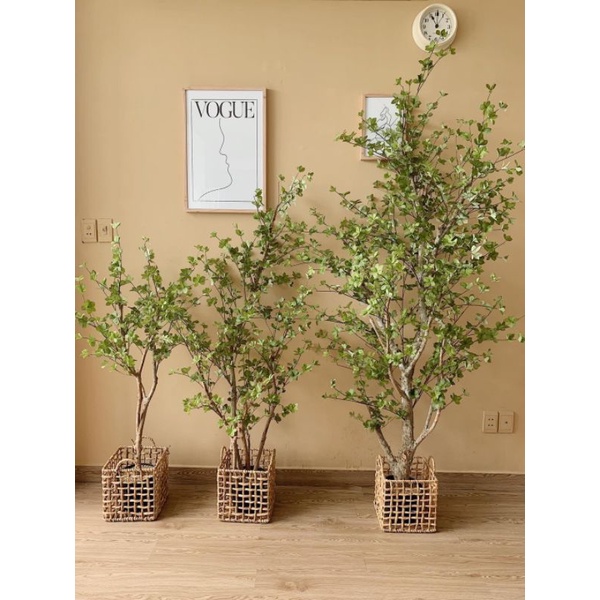 Giỏ trồng cây kiểu đan ô cờ nhiều kiểu dáng