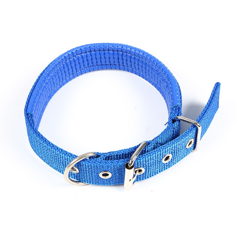 Vòng Cổ Chó, Vòng Cổ Chó Có Lớp đệm sau cổ, vòng cổ từ 28cm - 63cm, V4