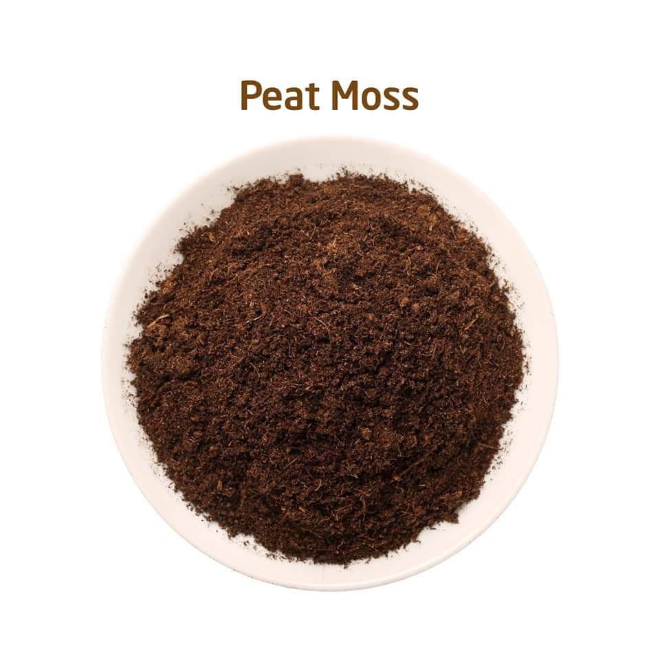 Đá Pumice Perlite Vermiculite Peat Moss