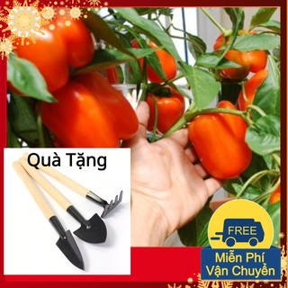 Hạt Giống Ớt Ngọt F1 Tặng Bộ Dụng Cụ Mini Trồng Cây Tặng Bộ Dụng Cụ Mini Trồng Cây